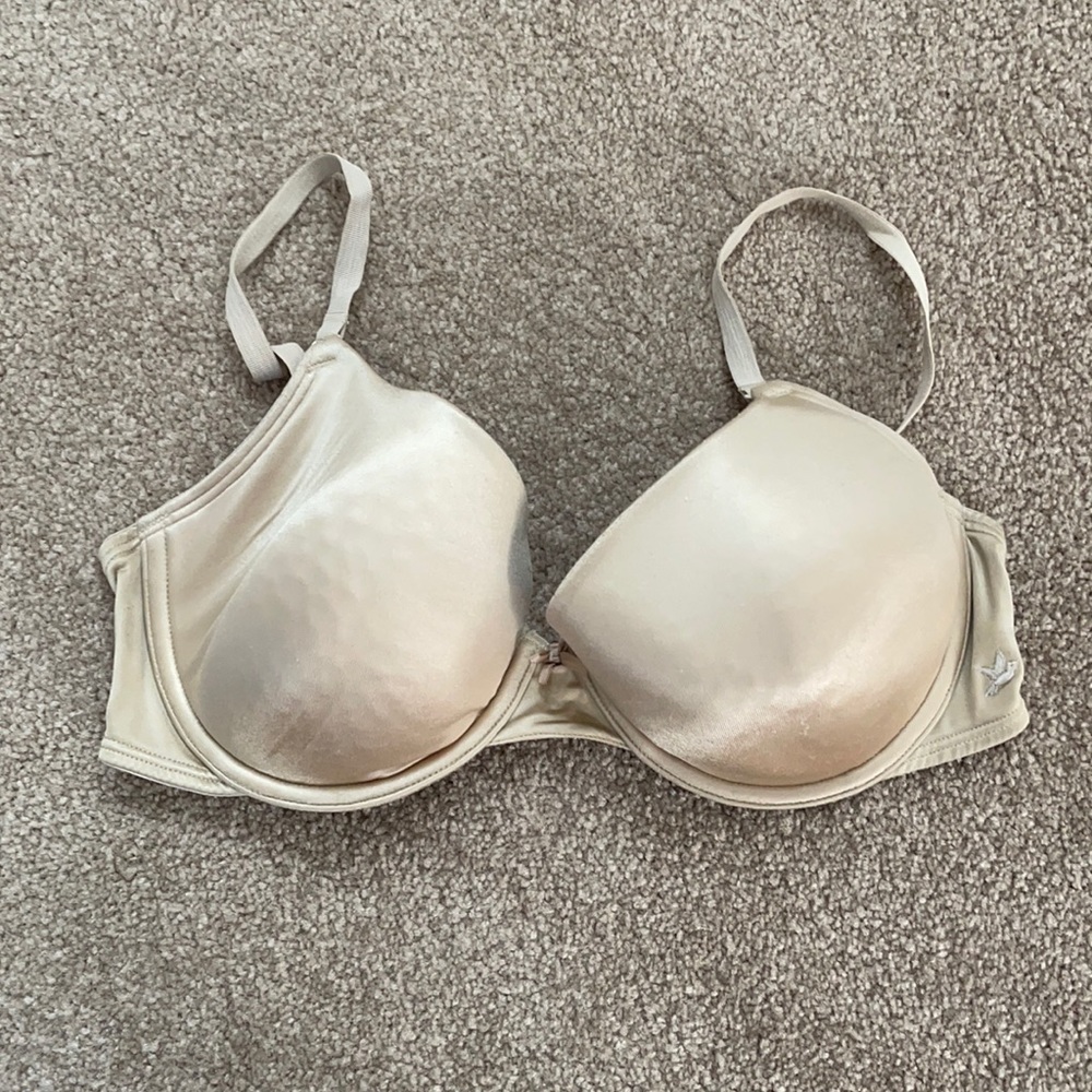 aerie Hannah Bra 34D